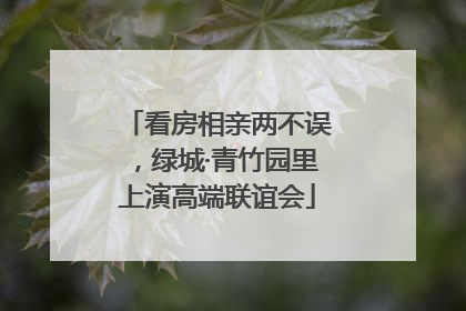 看房相亲两不误，绿城·青竹园里上演高端联谊会