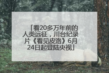 看20多万年前的人类远征，川台纪录片《看见皮洛》6月24日起登陆央视