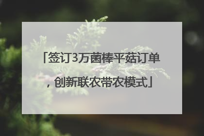 签订3万菌棒平菇订单，创新联农带农模式