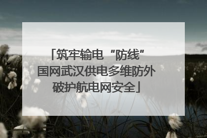 筑牢输电“防线” 国网武汉供电多维防外破护航电网安全