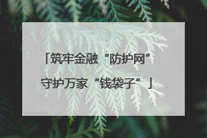 筑牢金融“防护网” 守护万家“钱袋子”