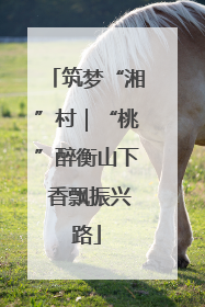 筑梦“湘”村｜“桃”醉衡山下 香飘振兴路