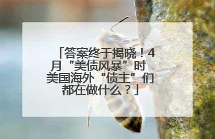 答案终于揭晓！4月“美债风暴”时 美国海外“债主”们都在做什么？