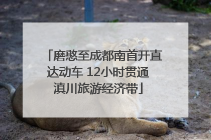 磨憨至成都南首开直达动车 12小时贯通滇川旅游经济带