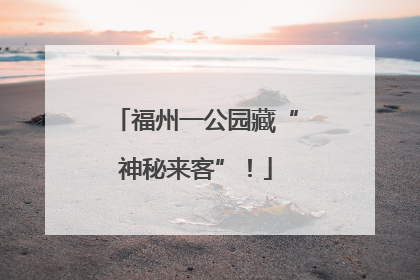 福州一公园藏“神秘来客”！