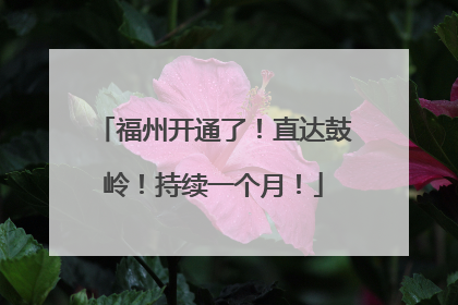 福州开通了！直达鼓岭！持续一个月！