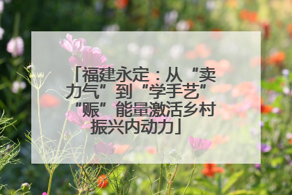 福建永定：从“卖力气”到“学手艺”“赈”能量激活乡村振兴内动力