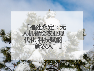 福建永定：无人机智绘农业现代化 科技赋能“新农人”