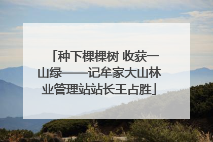 种下棵棵树 收获一山绿——记牟家大山林业管理站站长王占胜