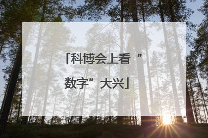 科博会上看“数字”大兴