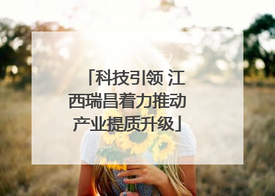 科技引领 江西瑞昌着力推动产业提质升级