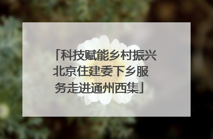 科技赋能乡村振兴 北京住建委下乡服务走进通州西集