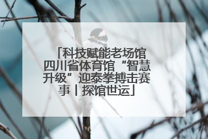 科技赋能老场馆 四川省体育馆“智慧升级”迎泰拳搏击赛事丨探馆世运