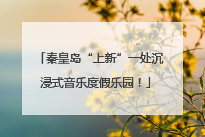 秦皇岛“上新”一处沉浸式音乐度假乐园！