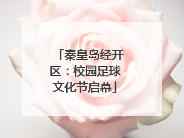 秦皇岛经开区：校园足球文化节启幕