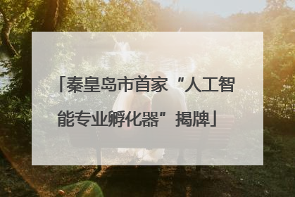 秦皇岛市首家“人工智能专业孵化器”揭牌
