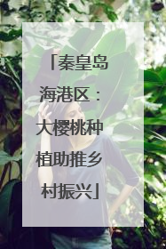 秦皇岛海港区：大樱桃种植助推乡村振兴