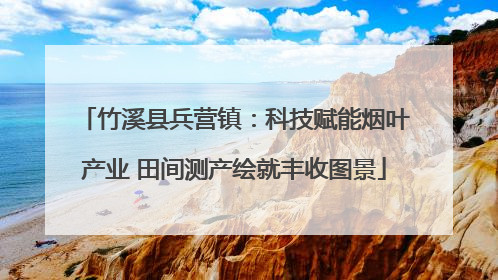竹溪县兵营镇：科技赋能烟叶产业 田间测产绘就丰收图景
