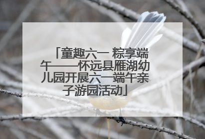 童趣六一 粽享端午——怀远县雁湖幼儿园开展六一端午亲子游园活动