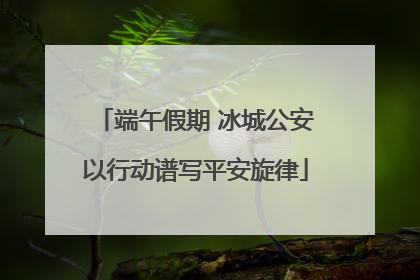 端午假期 冰城公安以行动谱写平安旋律