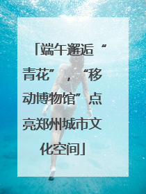 端午邂逅“青花”，“移动博物馆”点亮郑州城市文化空间