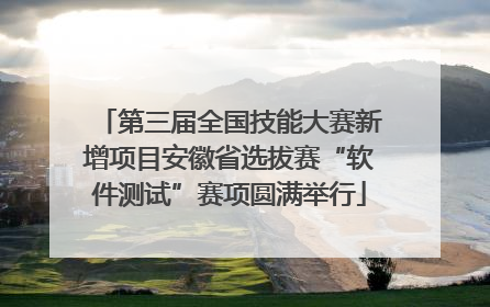 第三届全国技能大赛新增项目安徽省选拔赛“软件测试”赛项圆满举行