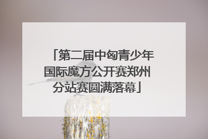 第二届中匈青少年国际魔方公开赛郑州分站赛圆满落幕