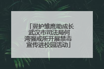 翼护雏鹰助成长 武汉市司法局何湾强戒所开展禁毒宣传进校园活动