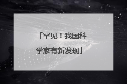 罕见！我国科学家有新发现