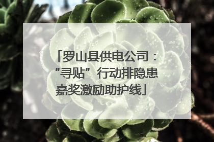 罗山县供电公司：“寻贴”行动排隐患 嘉奖激励助护线
