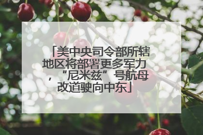 美中央司令部所辖地区将部署更多军力，“尼米兹”号航母改道驶向中东
