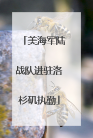 美海军陆战队进驻洛杉矶执勤