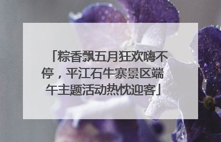 粽香飘五月狂欢嗨不停，平江石牛寨景区端午主题活动热忱迎客