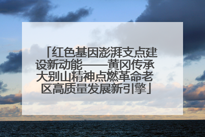 红色基因澎湃支点建设新动能——黄冈传承大别山精神点燃革命老区高质量发展新引擎