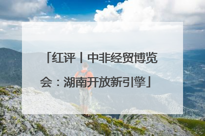 红评丨中非经贸博览会：湖南开放新引擎