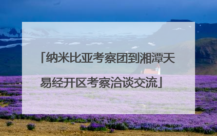 纳米比亚考察团到湘潭天易经开区考察洽谈交流