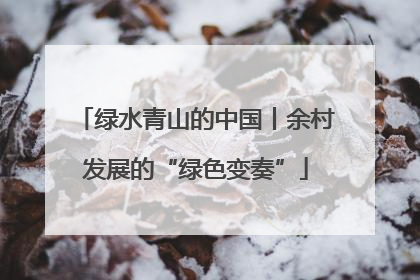 绿水青山的中国丨余村发展的“绿色变奏”