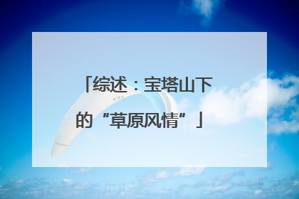 综述：宝塔山下的“草原风情”