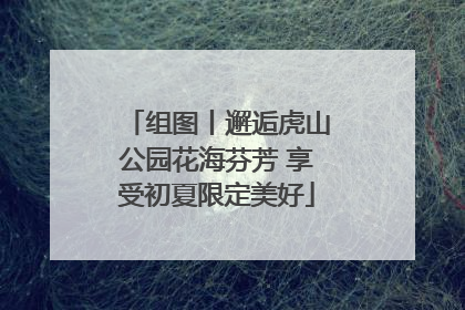 组图丨邂逅虎山公园花海芬芳 享受初夏限定美好