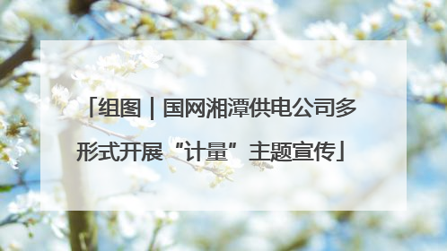 组图｜国网湘潭供电公司多形式开展“计量”主题宣传
