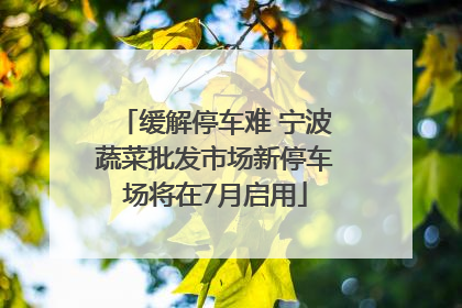 缓解停车难 宁波蔬菜批发市场新停车场将在7月启用