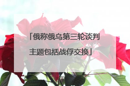 俄称俄乌第三轮谈判主题包括战俘交换