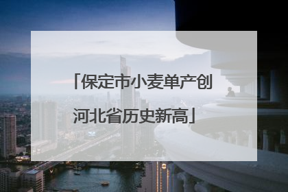 保定市小麦单产创河北省历史新高
