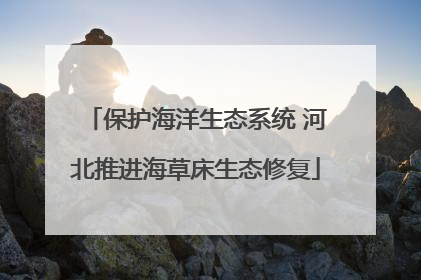 保护海洋生态系统 河北推进海草床生态修复