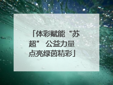 体彩赋能“苏超” 公益力量点亮绿茵精彩
