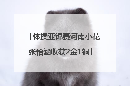 体操亚锦赛河南小花张怡涵收获2金1铜