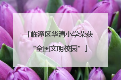 临潼区华清小学荣获“全国文明校园”