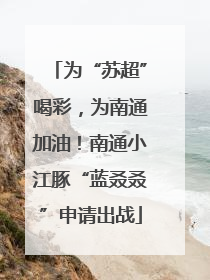 为“苏超”喝彩，为南通加油！南通小江豚“蓝叒叒”申请出战