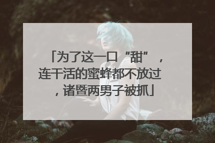 为了这一口“甜”，连干活的蜜蜂都不放过，诸暨两男子被抓