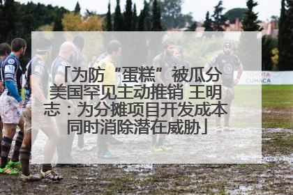 为防“蛋糕”被瓜分 美国罕见主动推销 王明志：为分摊项目开发成本同时消除潜在威胁